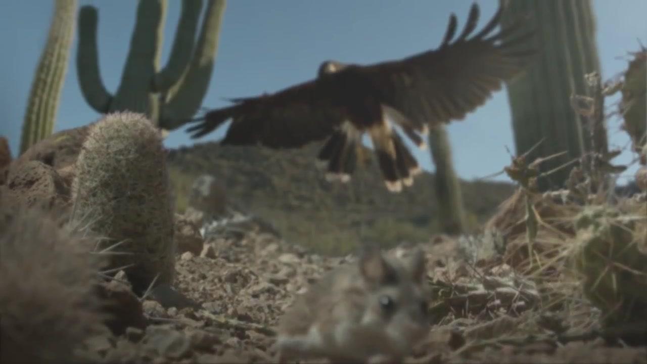 Hidden Kingdoms - Trailer - Englisch - HD