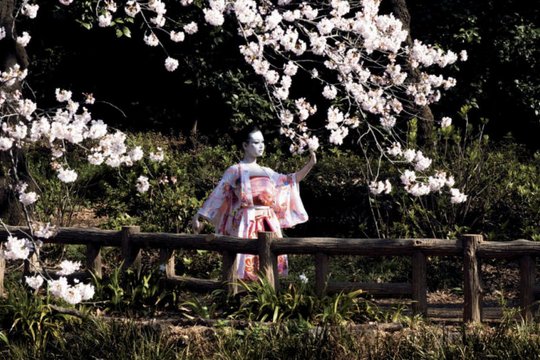 Kirschblüten - Hanami - Szenenbild 19