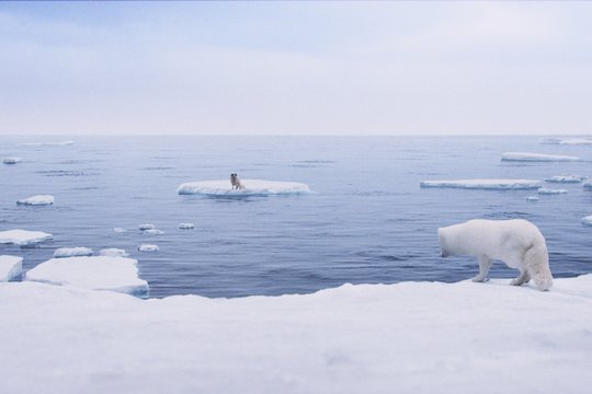 Die Abenteuer von Kina & Yuk - Szenenbild 1
