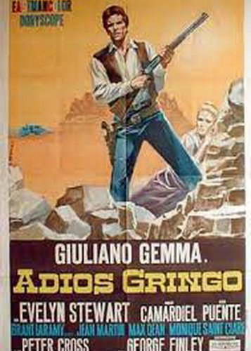 Adios Gringo - Poster 4