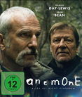 Anemone