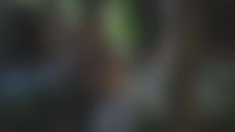 Scarecrow - Trailer - Englisch - SD