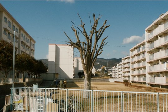 Kinki - Szenenbild 10