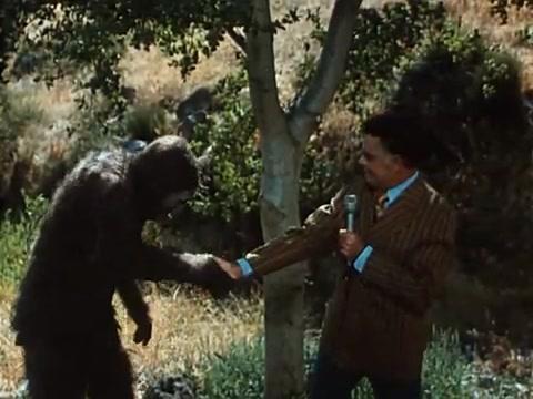 Schlock - Trailer - Deutsch - SD