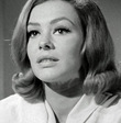 Judi Meredith