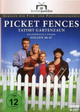 Picket Fences - Staffel 3