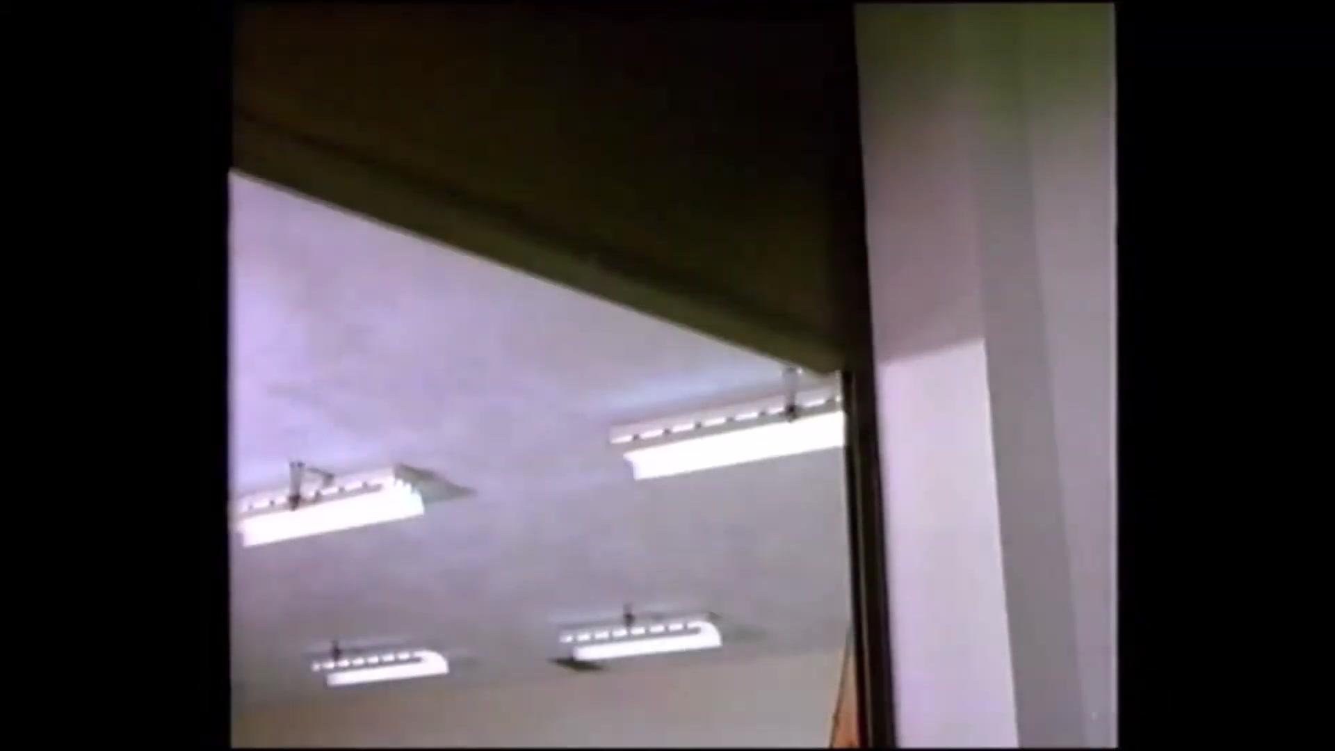 Webster ist nicht zu fassen - Trailer - Deutsch - HD