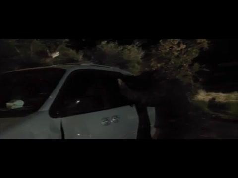 Bear - Trailer - Englisch - SD