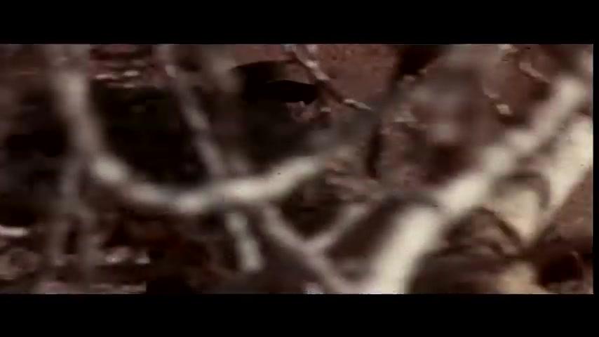 Yankee - Trailer - Deutsch - SD
