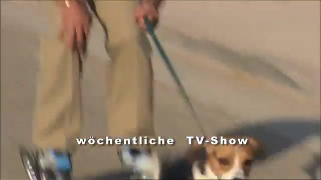 Hunde und Katzen würden länger leben, wenn... - Trailer - Deutsch - SD
