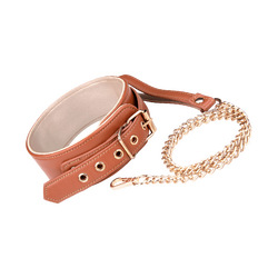 Blaze - Collar and Leash