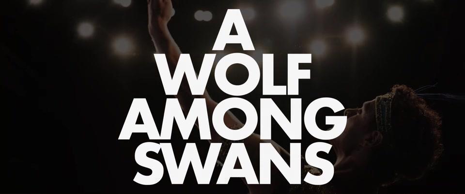 A Wolf Among the Swans - Trailer - Englisch - SD
