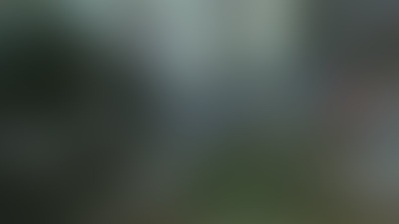 Rise of the Predator - Predator's Prey - Trailer - Englisch - SD