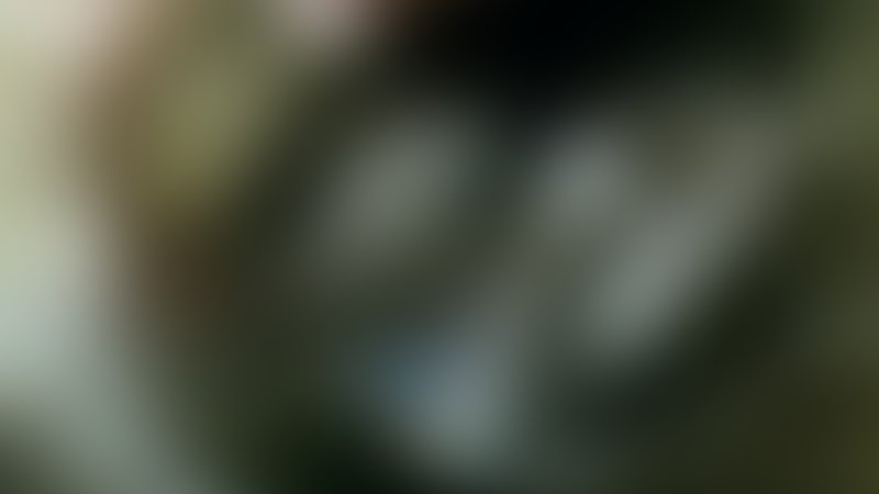 The Devil's Rejects - Trailer - Englisch - SD