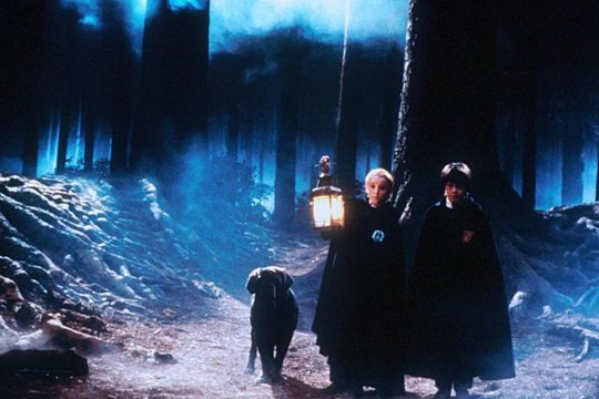 Harry Potter und der Stein der Weisen - Szenenbild 33