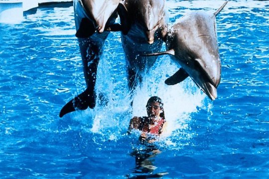 Dolphin Girl - Szenenbild 2