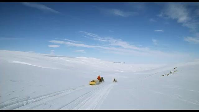 IMAX - Wonders of the Arctic - Trailer - Deutsch - SD