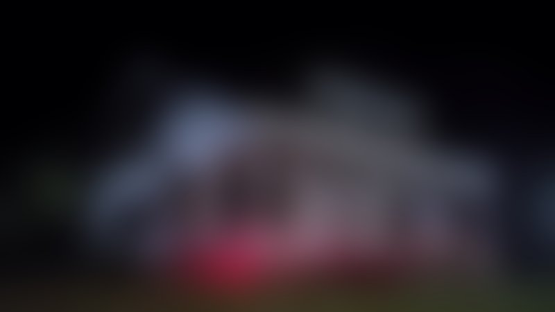 Night of the Wild - Trailer - Englisch - SD