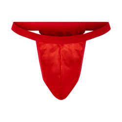 Attraktiver Tanga in schlichtem Design