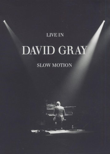 David Gray - Live in Slow Motion - Poster 1