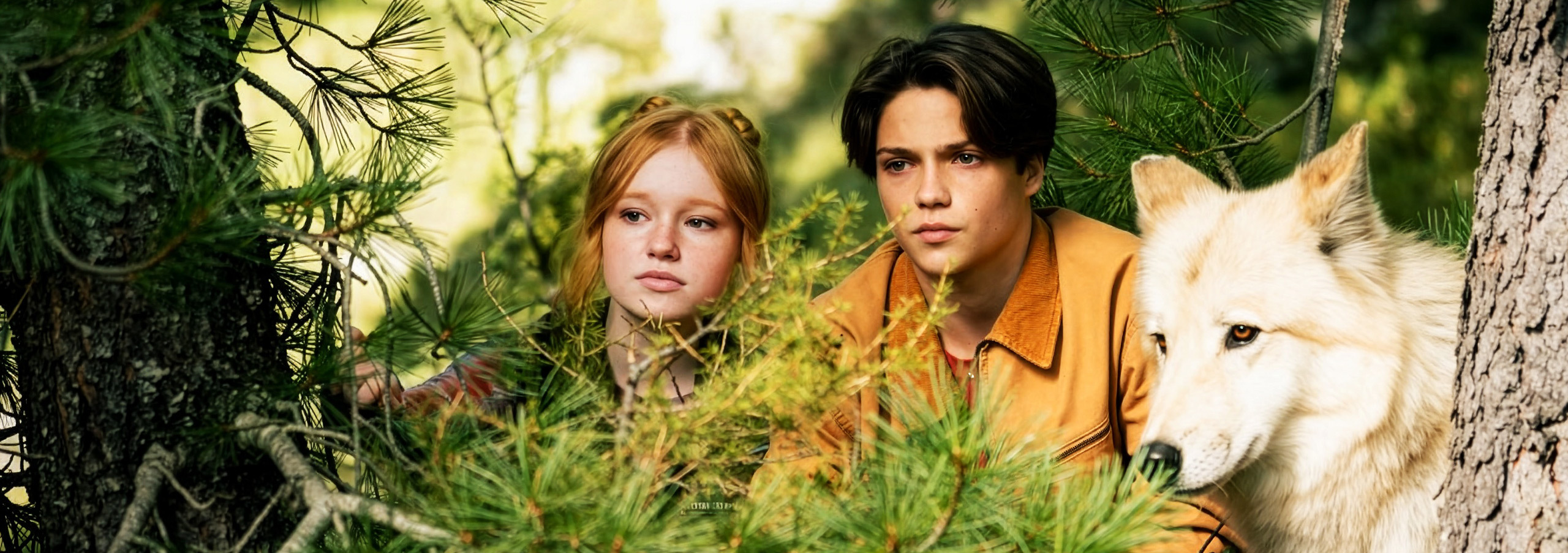 WOODWALKERS 2: Carag, Holly, Brandon und Co. sind zurück!