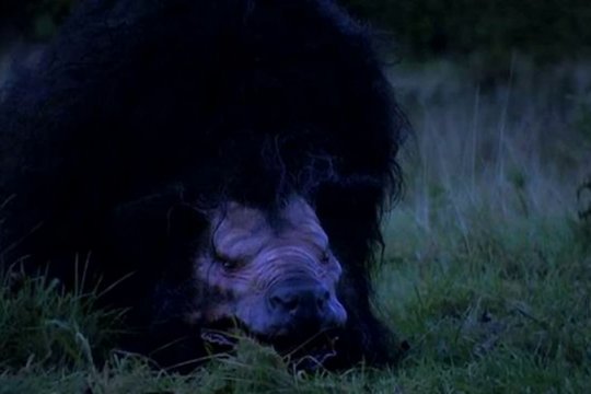Wild Country - Szenenbild 1