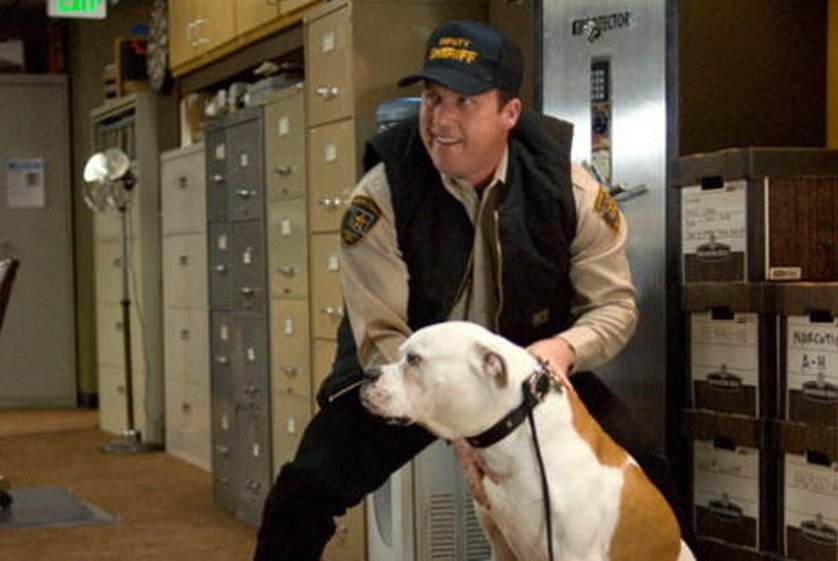 Beer for My Horses DVD oder Bluray leihen VIDEOBUSTER.de