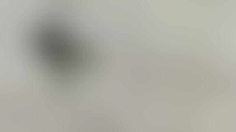 Karate Tiger 7 - Trailer - Englisch - SD