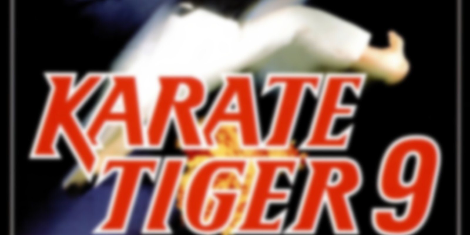 Karate Tiger 9