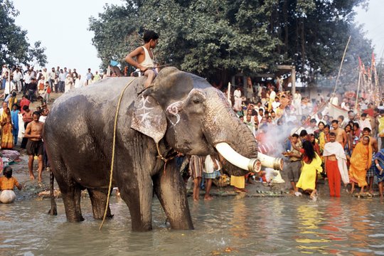 Ganges - Szenenbild 2