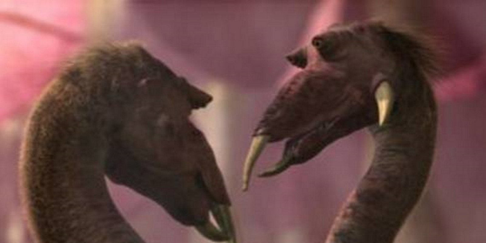 Extraterrestrial - Auf der Spur der Aliens