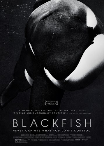 Blackfish - Poster 2