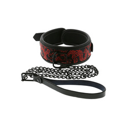 Collar &amp; Leash