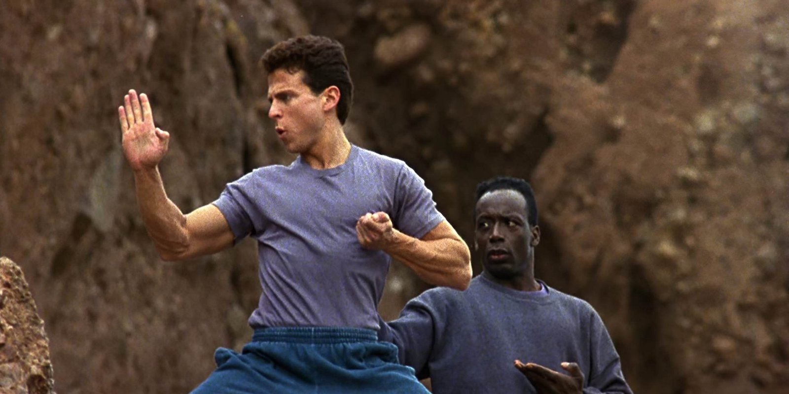 American Karate Tiger