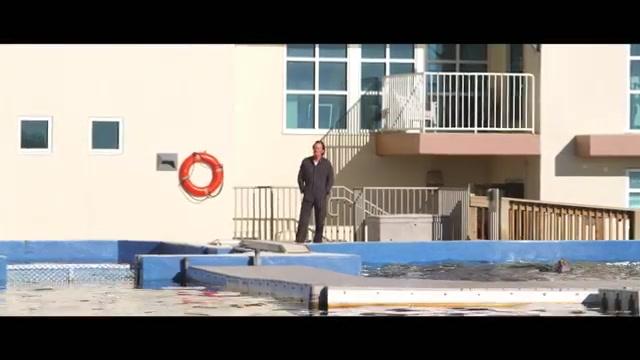 Bernie, der Delfin 2 - Trailer - Englisch - SD