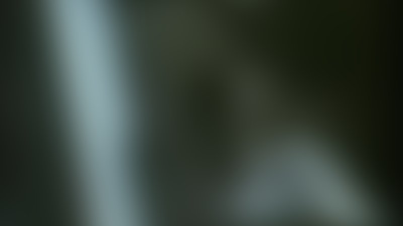 Shakma - Teaser - Englisch - SD