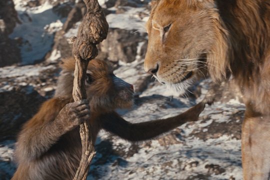Mufasa - Der König der Löwen - Szenenbild 3