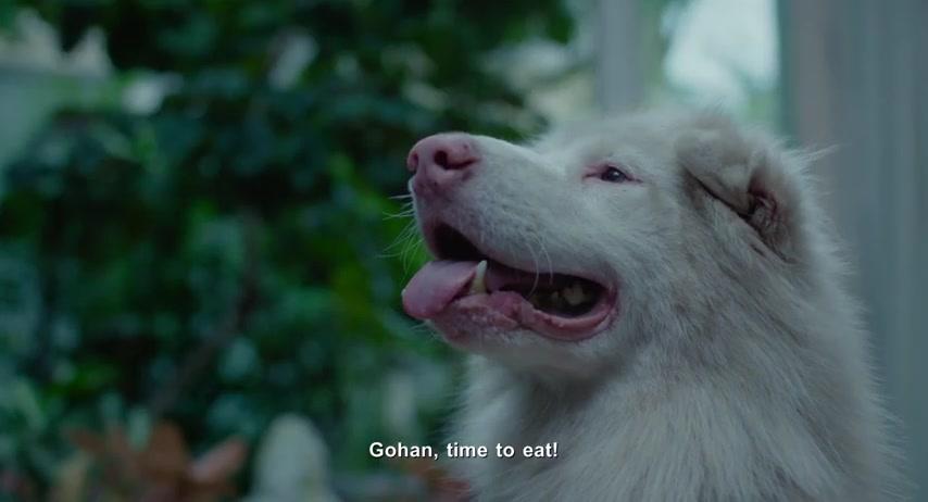 Gohan - Trailer - Englisch - SD