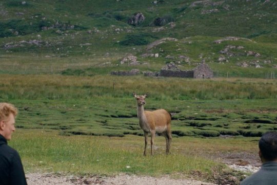 The North - Szenenbild 3