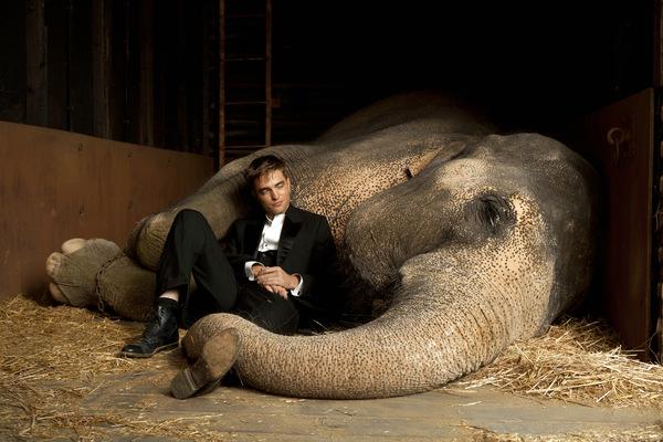 Robert Pattinson in 'Wasser für die Elefanten' © 20th Century Fox 2011