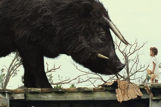 Beasts of the Southern Wild - Szenenbild 3
