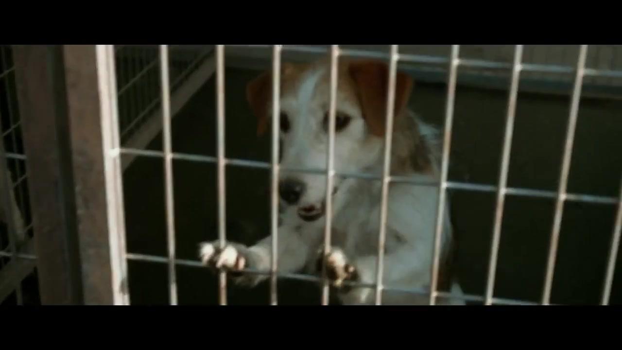 Underdog - Eine ungarische Rhapsodie - Trailer - Deutsch - HD