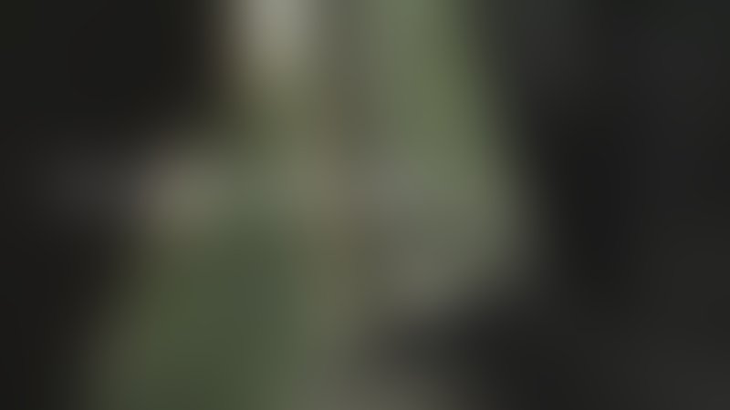 Skin Traffik - Trailer - Englisch - SD