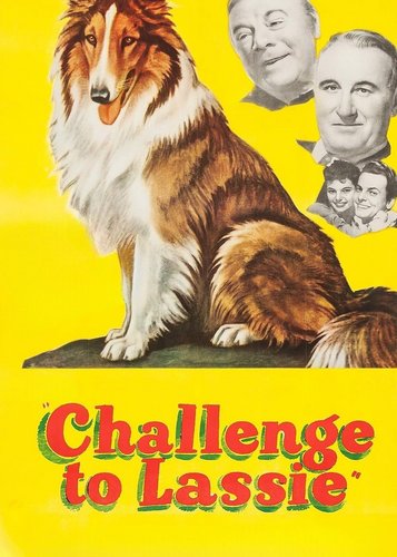 Lassie in Not - Poster 4