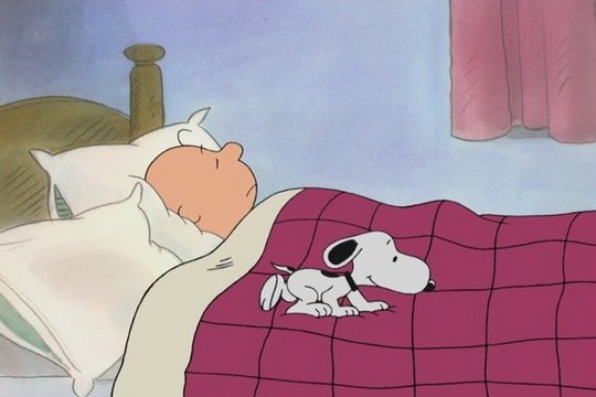 Die Peanuts - A Charlie Brown Valentine - Szenenbild 1
