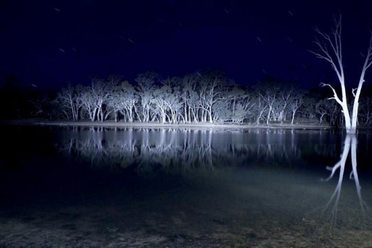 Lake Mungo - Szenenbild 10