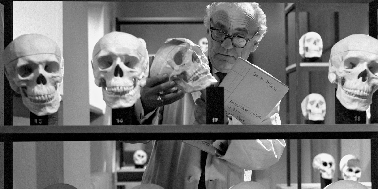 Straßenfeger 41 - Stahlnetz