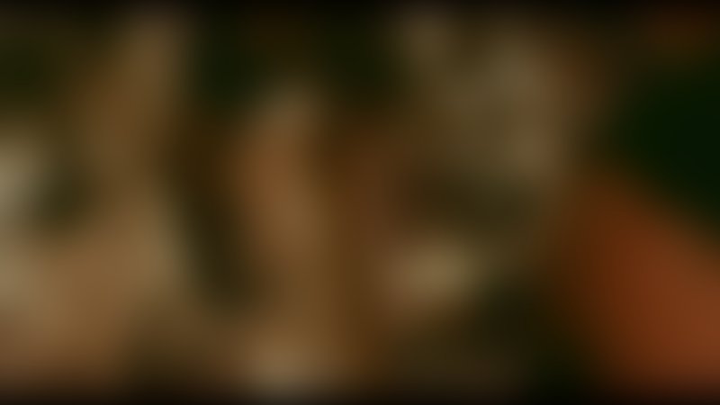 Im Wendekreis des Söldners - Teaser - Deutsch - SD