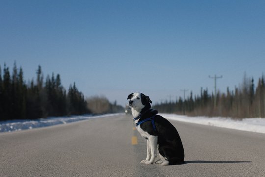 Cold Road - Szenenbild 6