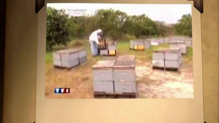 Bienen - Trailer - Deutsch - SD